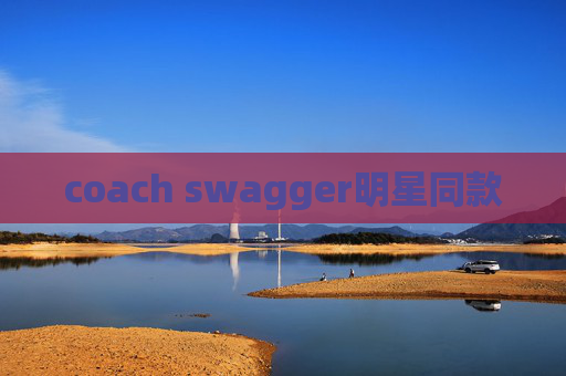 coach swagger明星同款